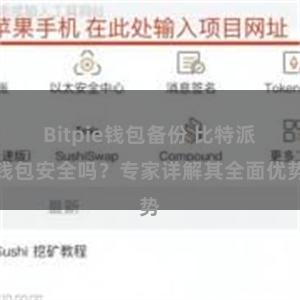 Bitpie钱包备份 比特派钱包安全吗？专家详解其全面优势