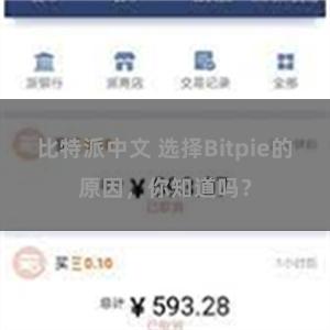 比特派中文 选择Bitpie的原因，你知道吗？