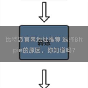 比特派官网地址推荐 选择Bitpie的原因，你知道吗？