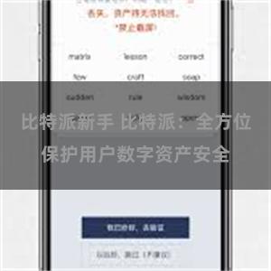 比特派新手 比特派：全方位保护用户数字资产安全
