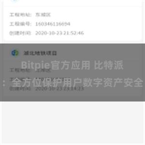 Bitpie官方应用 比特派：全方位保护用户数字资产安全