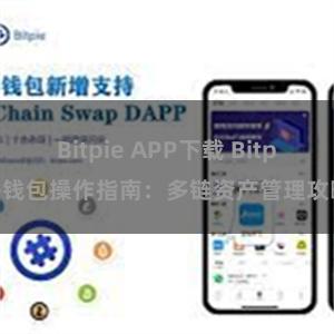 Bitpie APP下载 Bitpie钱包操作指南：多链资产管理攻略