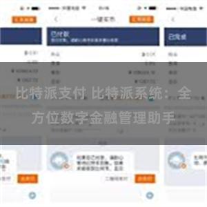 比特派支付 比特派系统：全方位数字金融管理助手