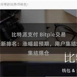 比特派支付 Bitpie交易所最新排名：涨幅超预期，用户集结爆仓