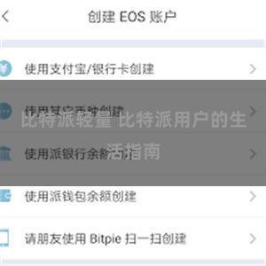 比特派轻量 比特派用户的生活指南