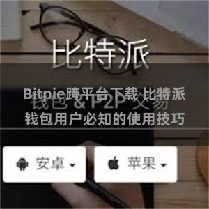 Bitpie跨平台下载 比特派钱包用户必知的使用技巧