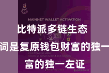 比特派多链生态  助记词是复原钱包财富的独一左证