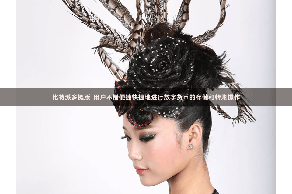 比特派多链版  用户不错便捷快捷地进行数字货币的存储和转账操作