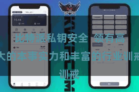 比特派私钥安全  领有高大的本事实力和丰富的行业训戒