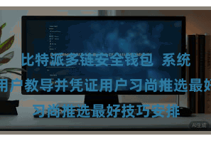 比特派多链安全钱包 系统将自动为用户教导并凭证用户习尚推选最好技巧安排