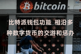 比特派钱包功能  相沿多种数字货币的交游和惩办